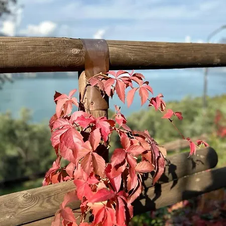 Tatil Evi Casa Vacanze La Fioca